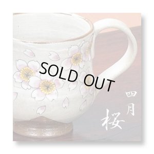画像1: 九谷焼 マグカップ　(4月)桜〜花暦シリーズ〜（化粧箱入）